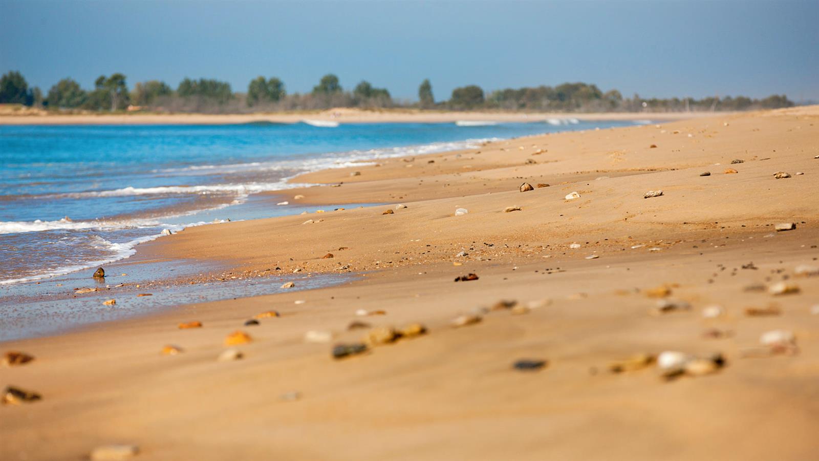 coquillage et sable fin de vendée  - Camping La Siesta | La Faute sur Mer
