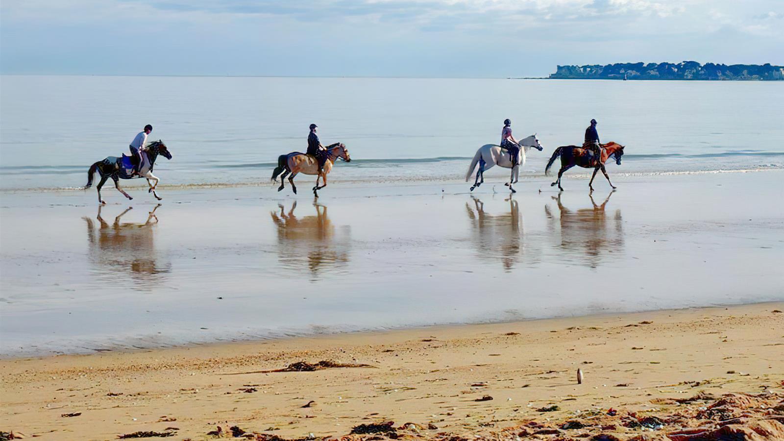 Equitation près de La Tranche Sur Mer - Camping La Siesta | La Faute sur Mer