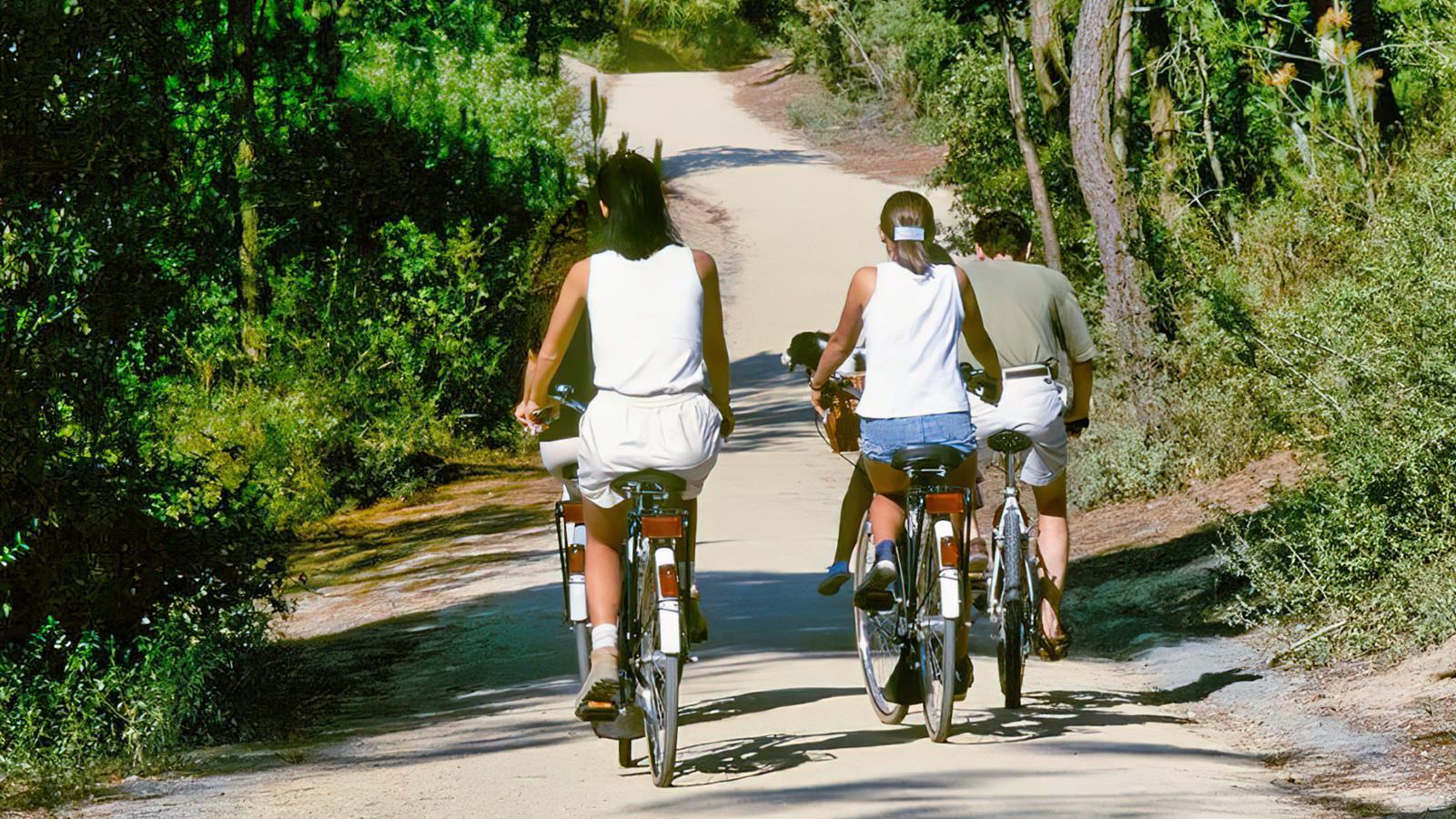 Balades et randonnées à vélo et à pied près du Camping La Siesta - Camping La Siesta | La Faute sur Mer