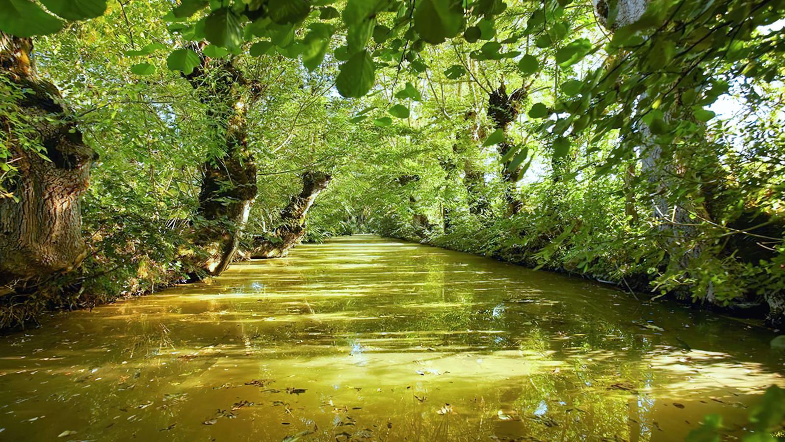 Marais Poitevin proche de La Faute sur Mer - Camping La Siesta | La Faute sur Mer